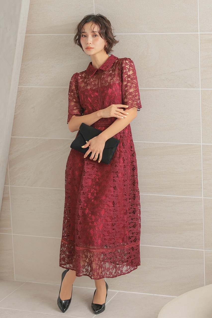 襟付きケミカルライクレースフレアドレス CF029WR ｜パーティードレス