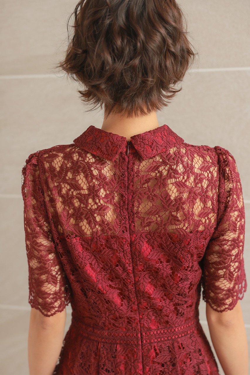 襟付きケミカルライクレースフレアドレス CF029WR ｜パーティードレス