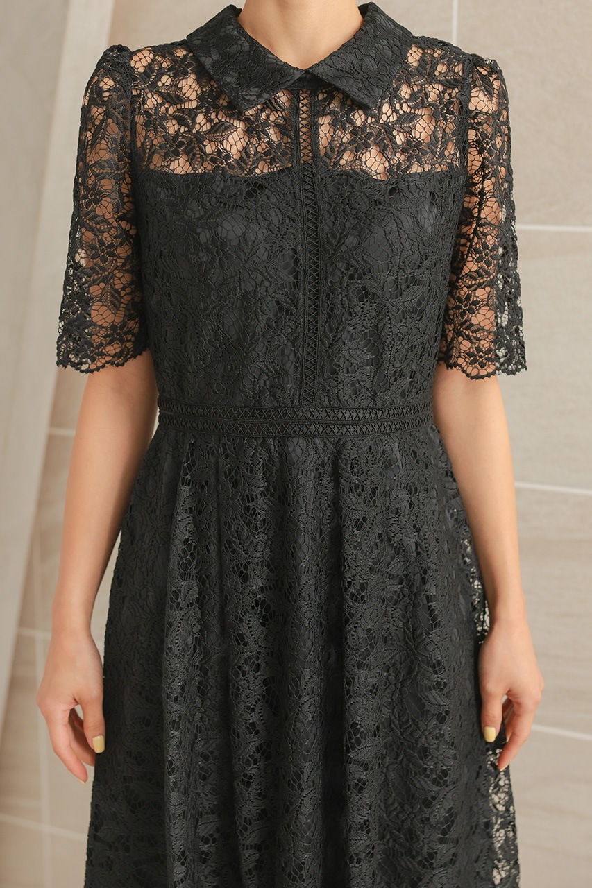 襟付きケミカルライクレースフレアドレス CF029BK ｜パーティードレス