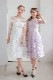�ե쥢�ѡ��ƥ����ɥ쥹 C41735LI