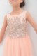 �ԥ󥯥�����ɥ��ѥ��å�����ԡ�����5-8��  LMK31392NP