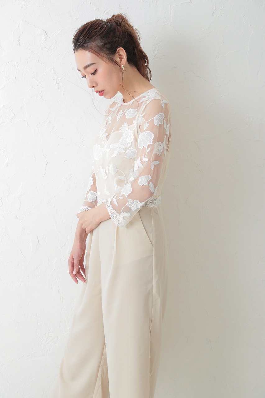 �ե��졼���ǥ��ơ��륪���륤����LM1067663CR