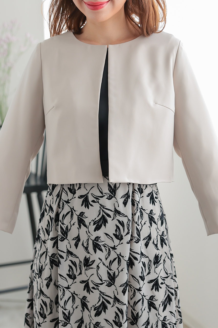 �ѥ��������å��١����å��ܥ����CF014BE