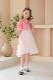 �����꡼���ե���ӡ����ܥ����PINK��5-8�С�LMK26884P