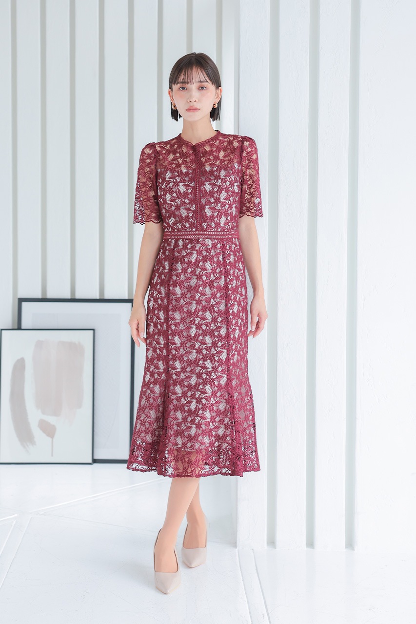 ����ȥ饹�ȥ졼���ޡ��ᥤ�ɥɥ쥹��CF019WR