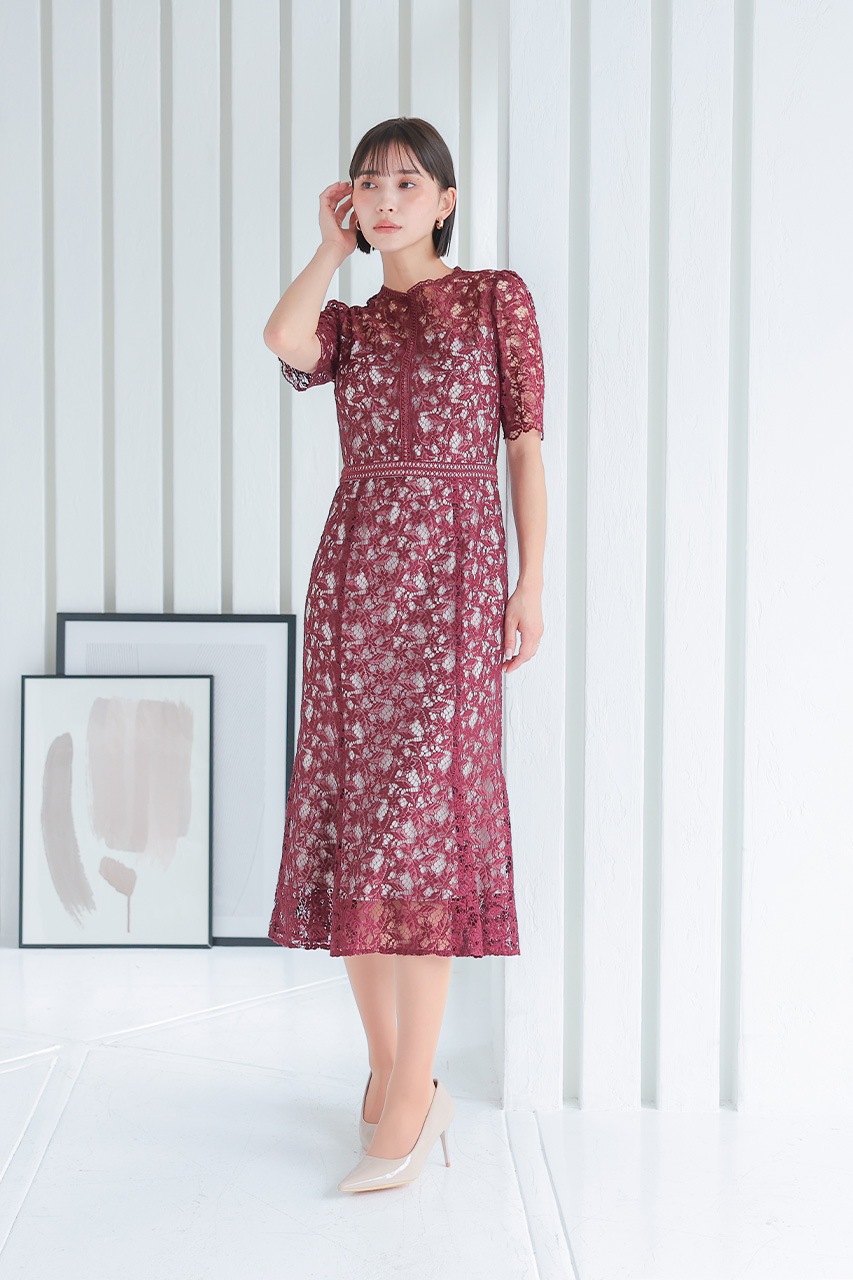 ����ȥ饹�ȥ졼���ޡ��ᥤ�ɥɥ쥹��CF019WR