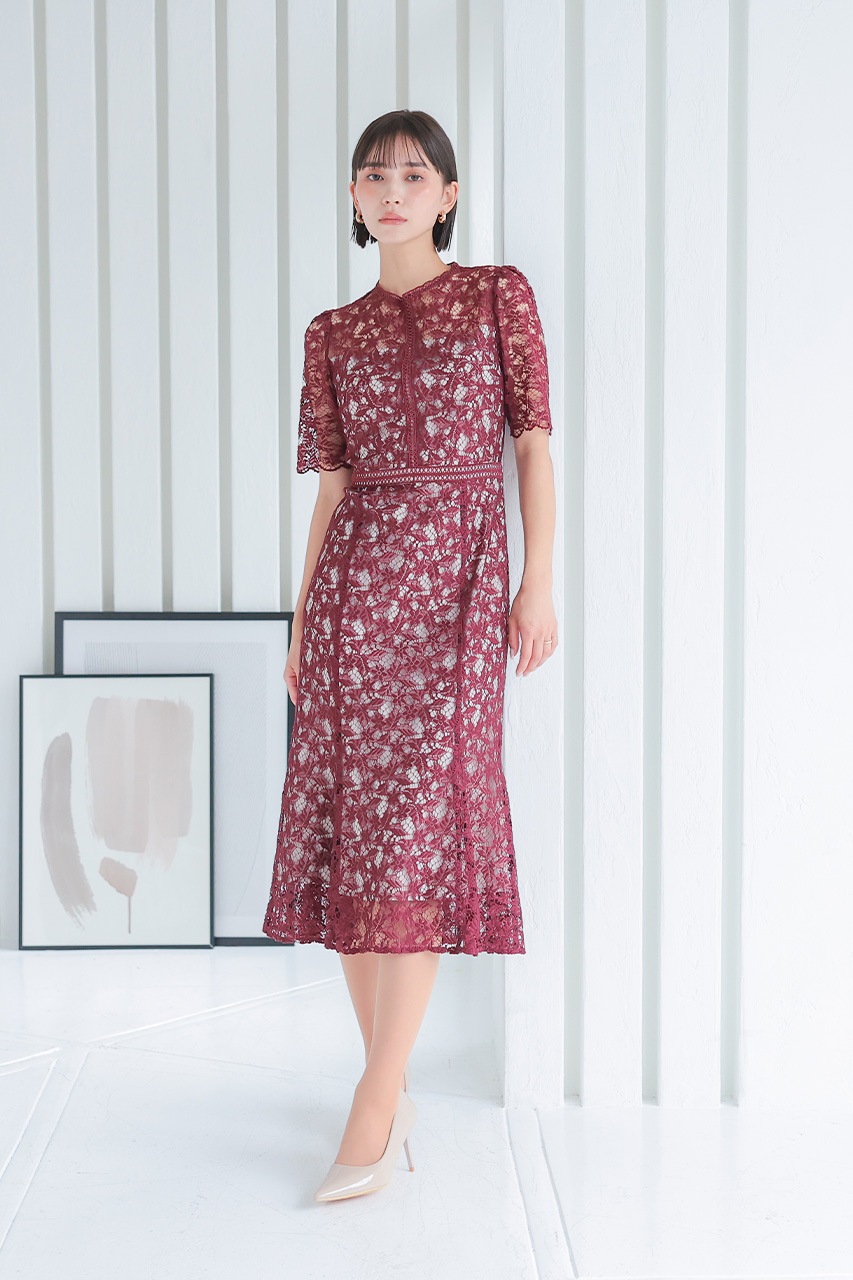 ����ȥ饹�ȥ졼���ޡ��ᥤ�ɥɥ쥹��CF019WR