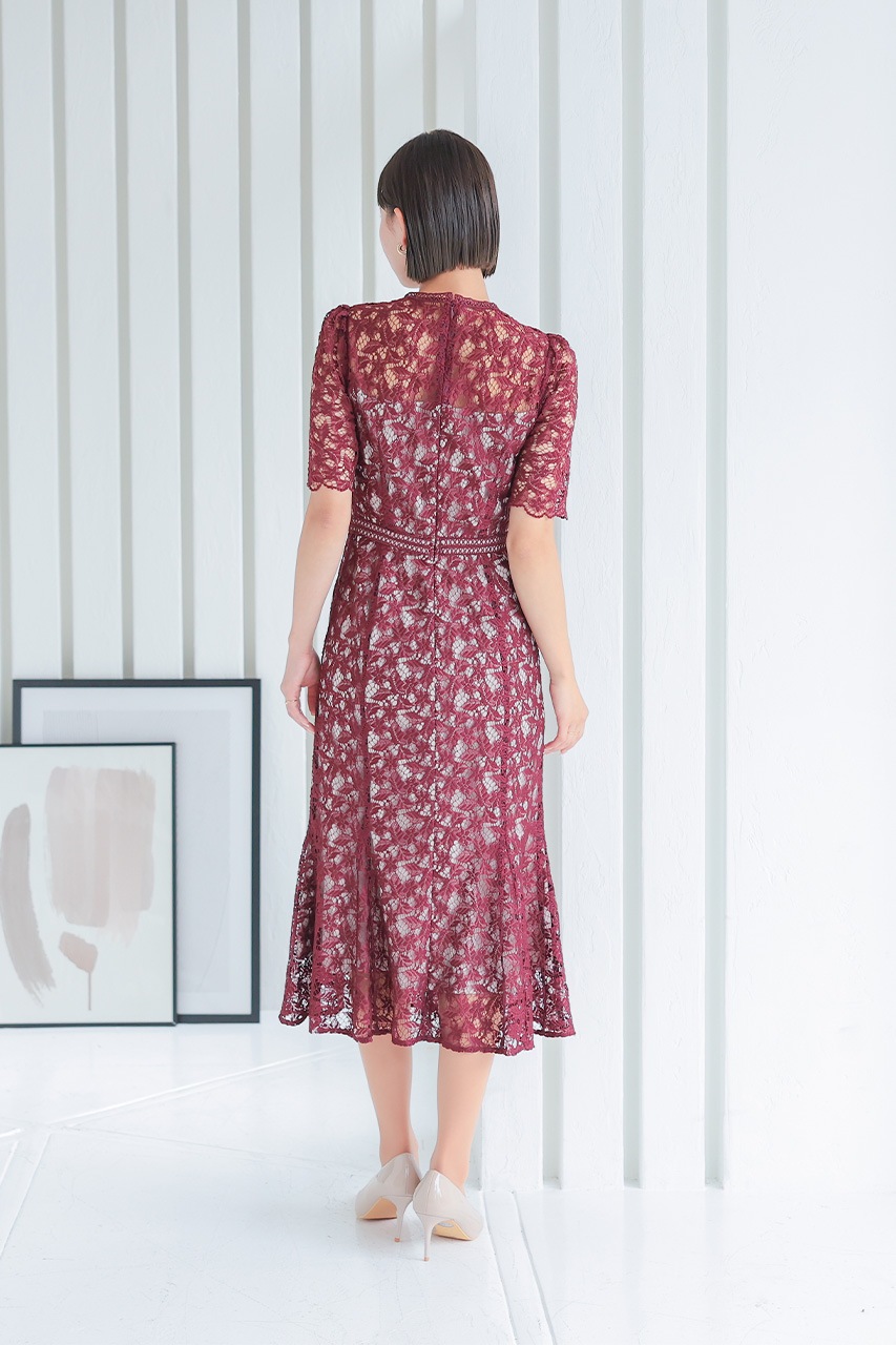 ����ȥ饹�ȥ졼���ޡ��ᥤ�ɥɥ쥹��CF019WR