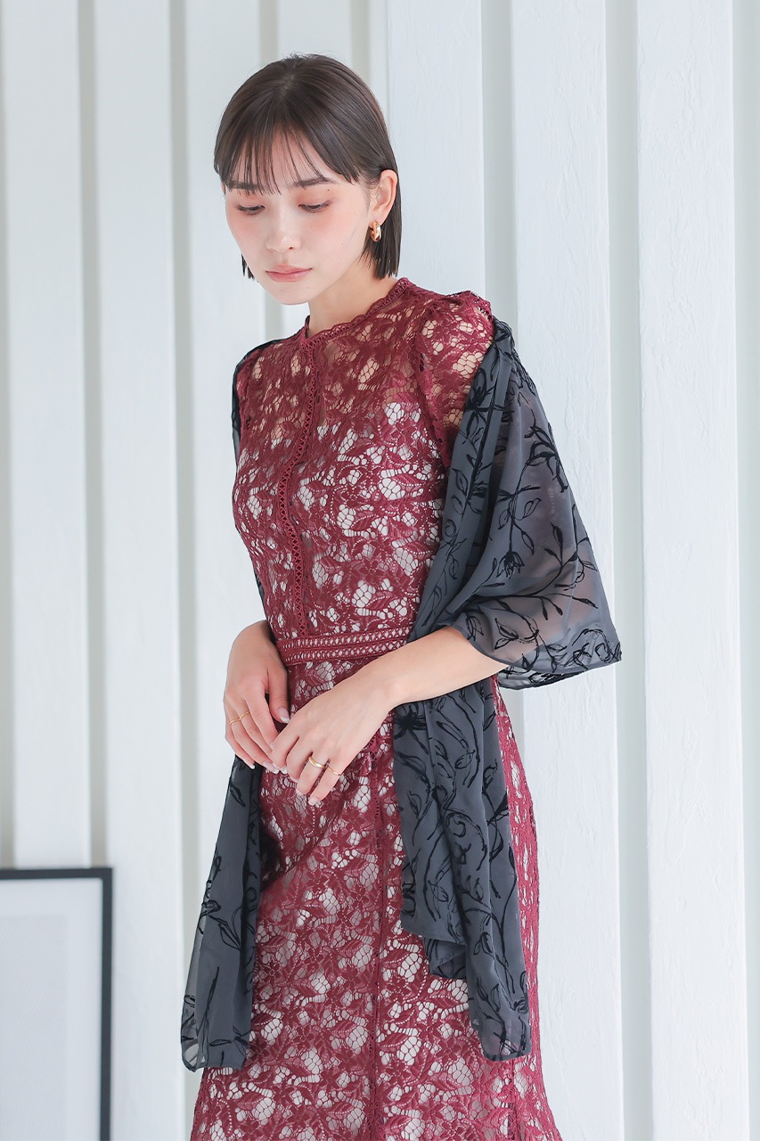 ����ȥ饹�ȥ졼���ޡ��ᥤ�ɥɥ쥹��CF019WR