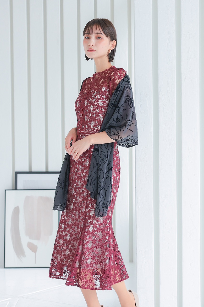 ����ȥ饹�ȥ졼���ޡ��ᥤ�ɥɥ쥹��CF019WR