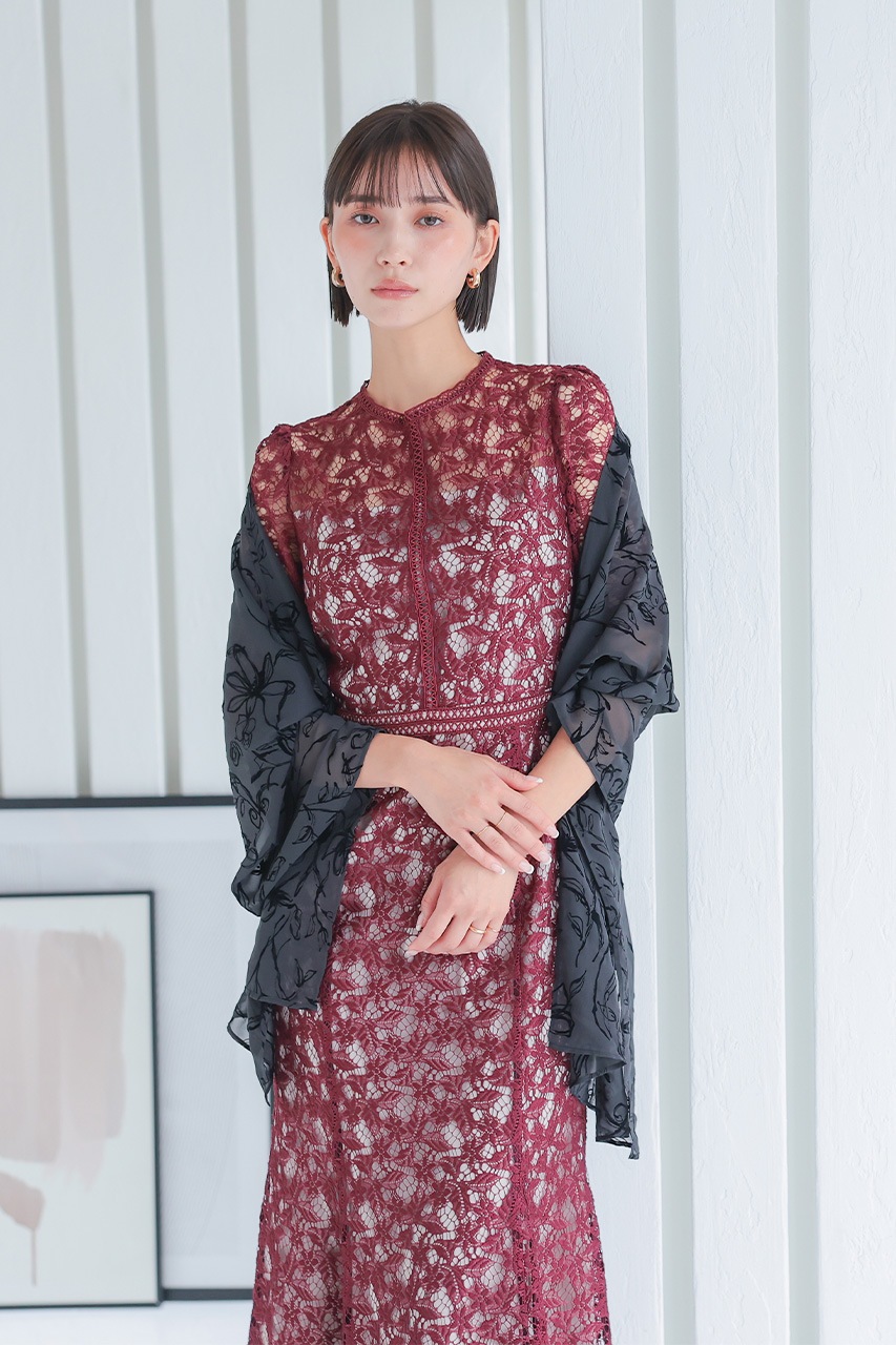 ����ȥ饹�ȥ졼���ޡ��ᥤ�ɥɥ쥹��CF019WR