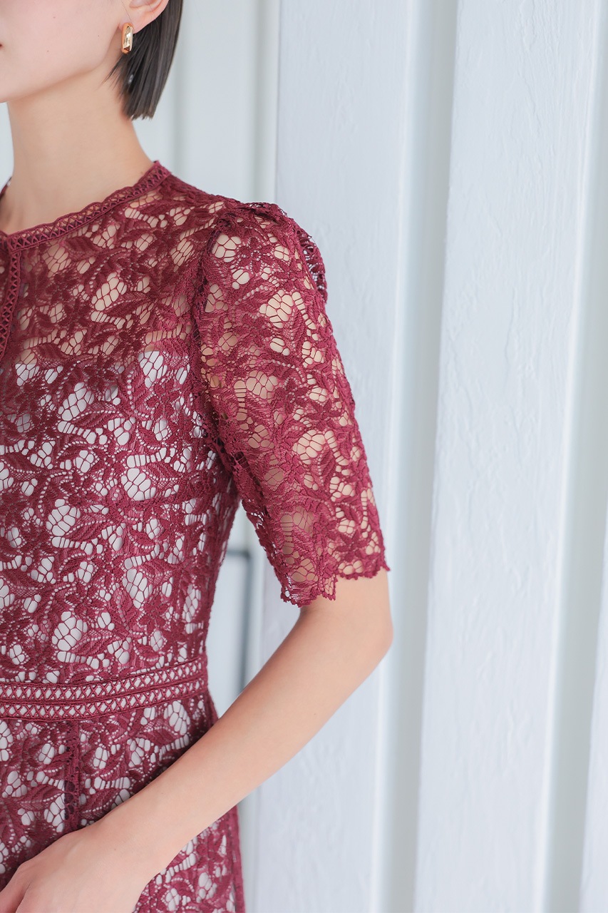 ����ȥ饹�ȥ졼���ޡ��ᥤ�ɥɥ쥹��CF019WR