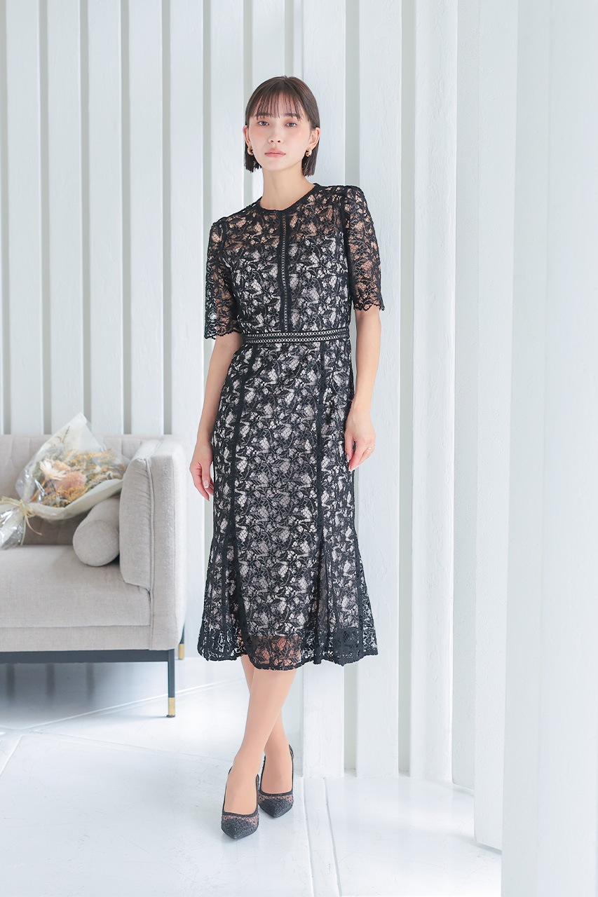 ����ȥ饹�ȥ졼���ޡ��ᥤ�ɥɥ쥹��CF019BK