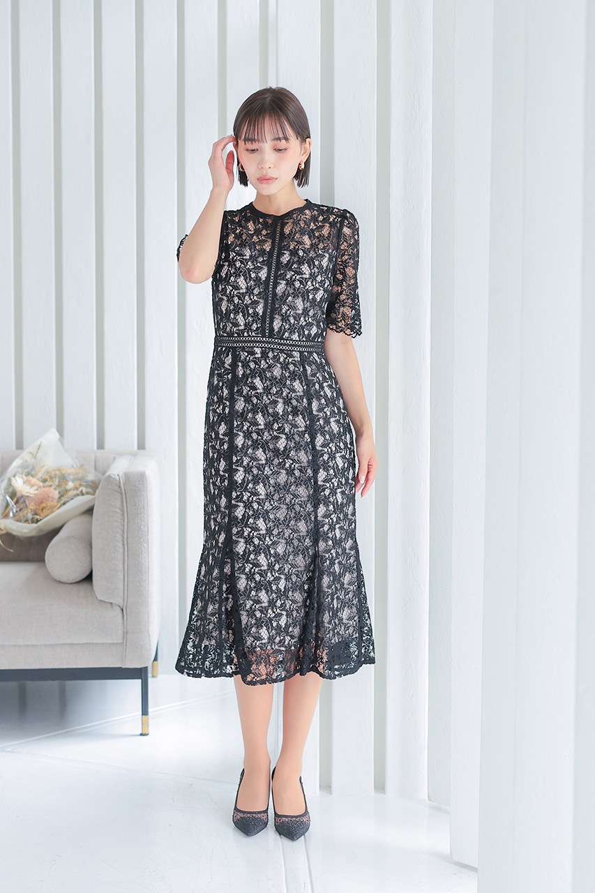 ����ȥ饹�ȥ졼���ޡ��ᥤ�ɥɥ쥹��CF019BK