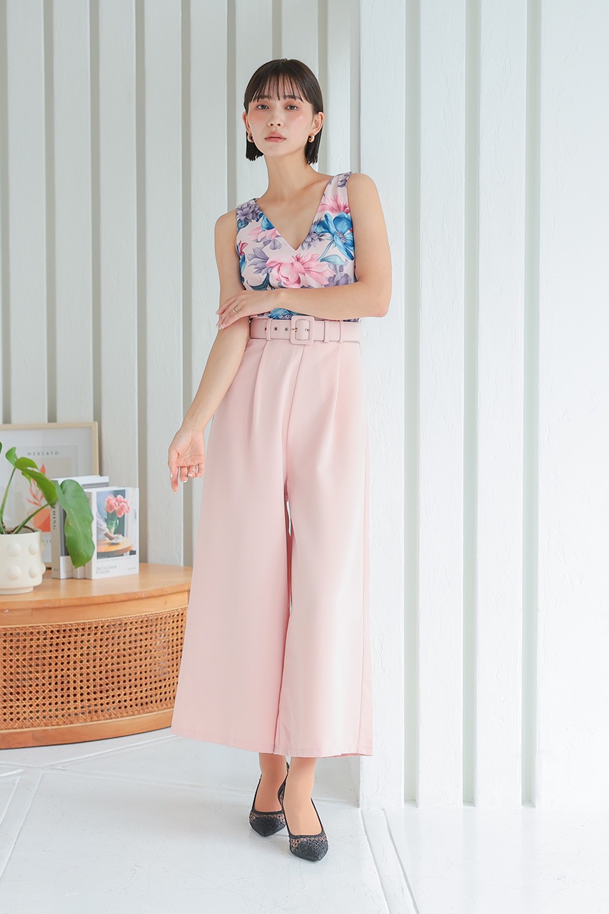 �ե��ץ��ȥ���ӥ����륤����PD1646061LPK