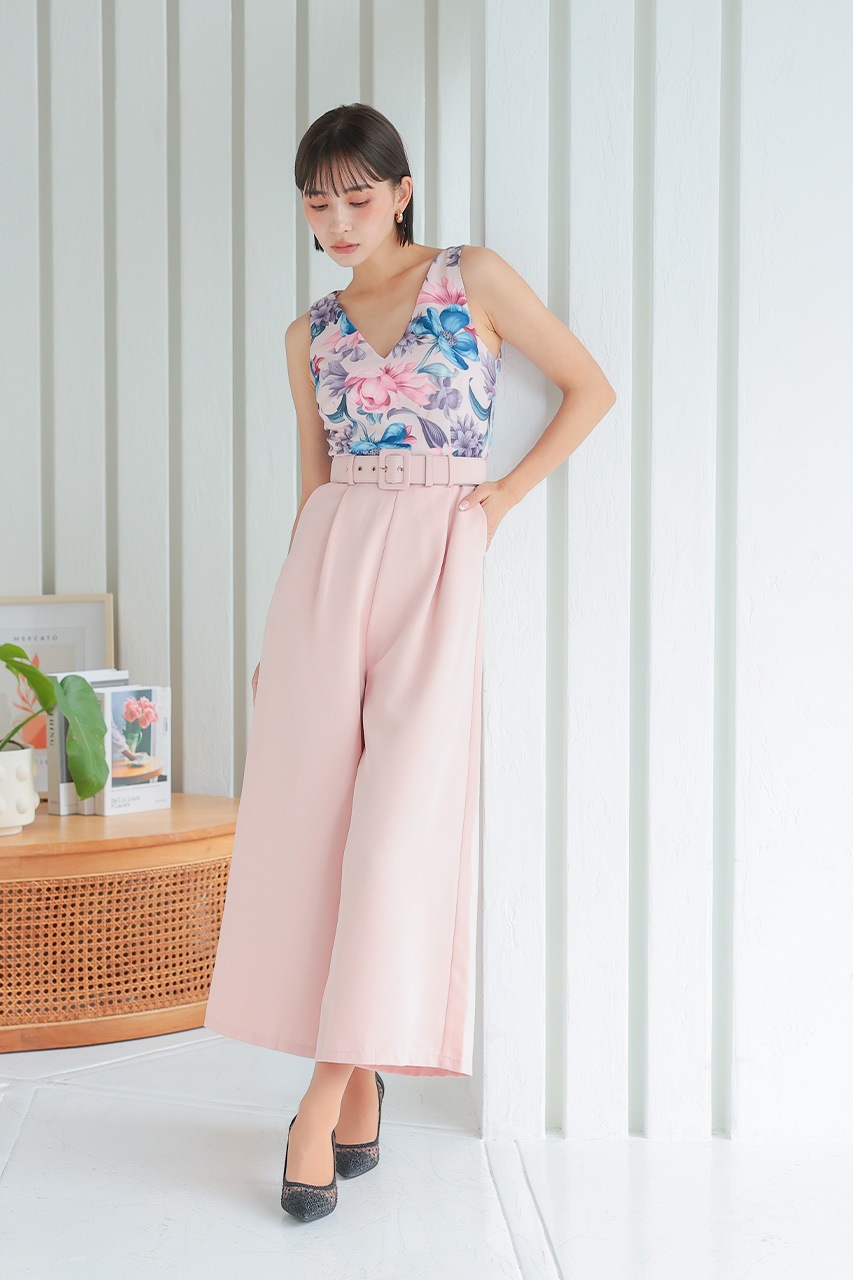 �ե��ץ��ȥ���ӥ����륤����PD1646061LPK