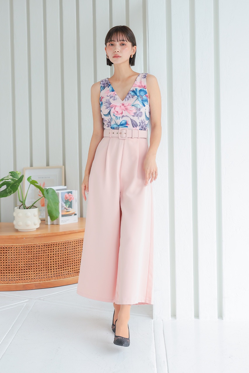 �ե��ץ��ȥ���ӥ����륤����PD1646061LPK