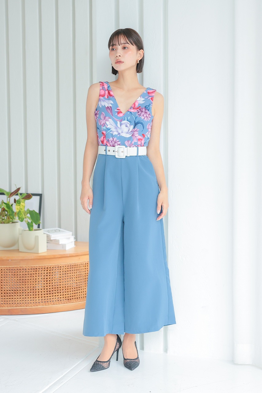 �ե��ץ��ȥ���ӥ����륤����PD1646062BL