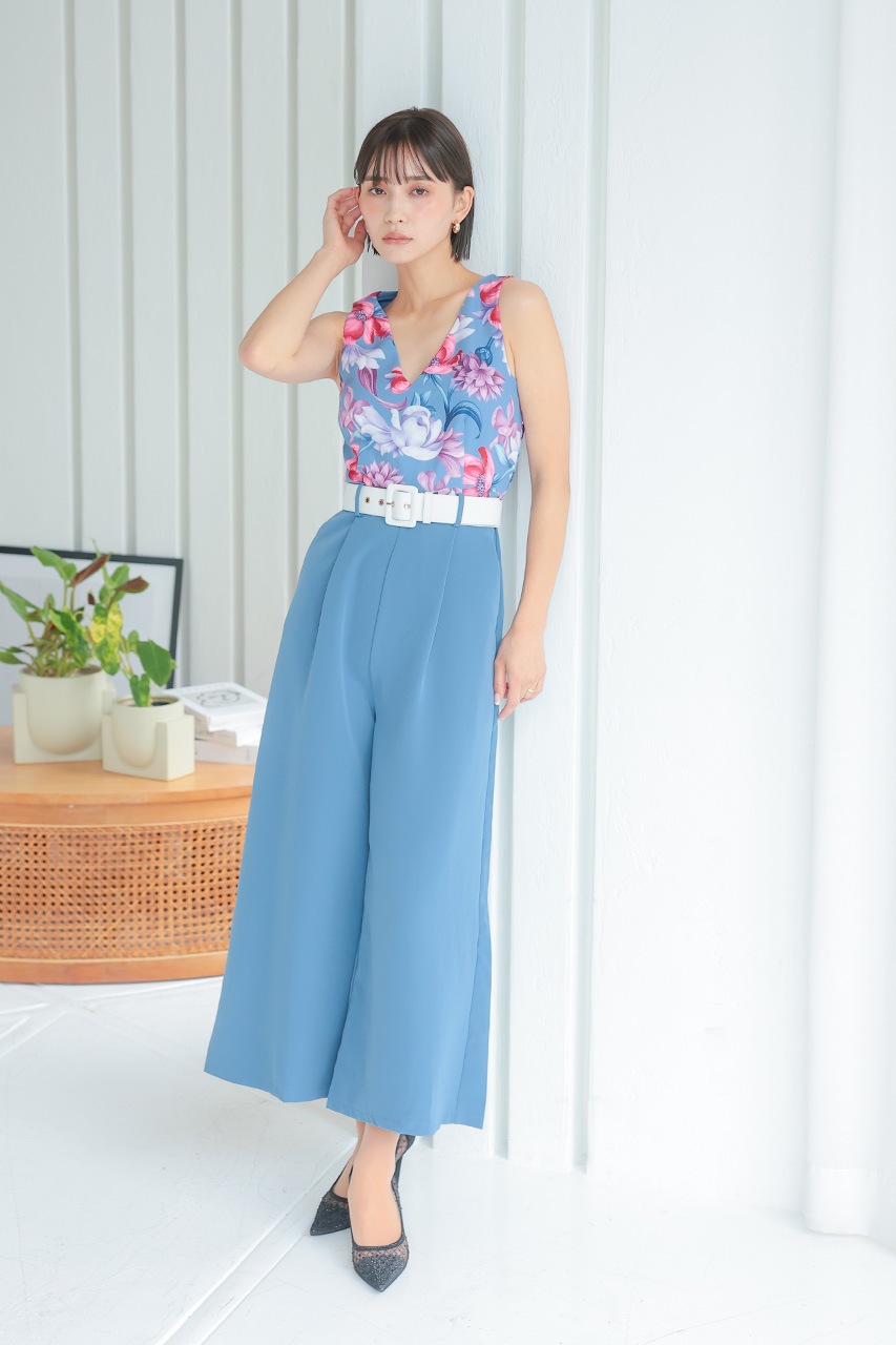 �ե��ץ��ȥ���ӥ����륤����PD1646062BL