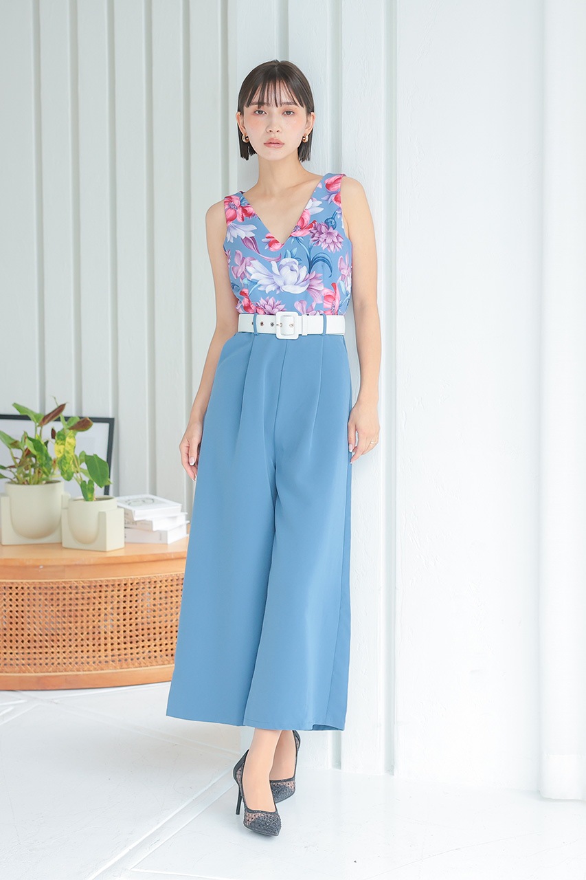 �ե��ץ��ȥ���ӥ����륤����PD1646062BL