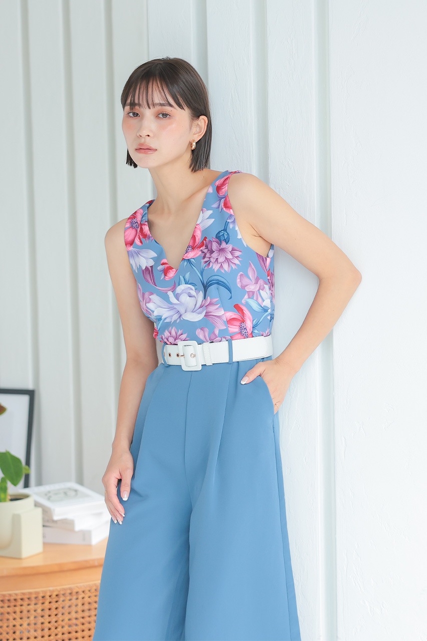 �ե��ץ��ȥ���ӥ����륤����PD1646062BL