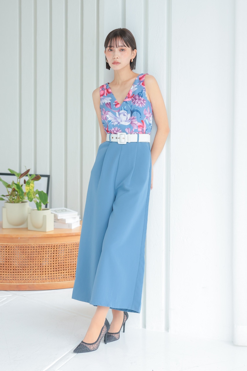 �ե��ץ��ȥ���ӥ����륤����PD1646062BL