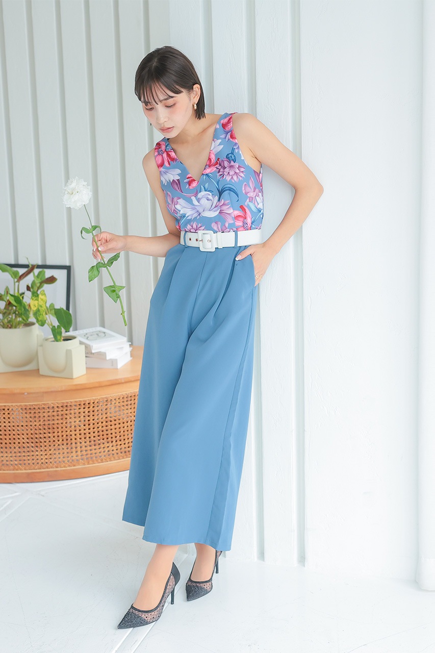 �ե��ץ��ȥ���ӥ����륤����PD1646062BL