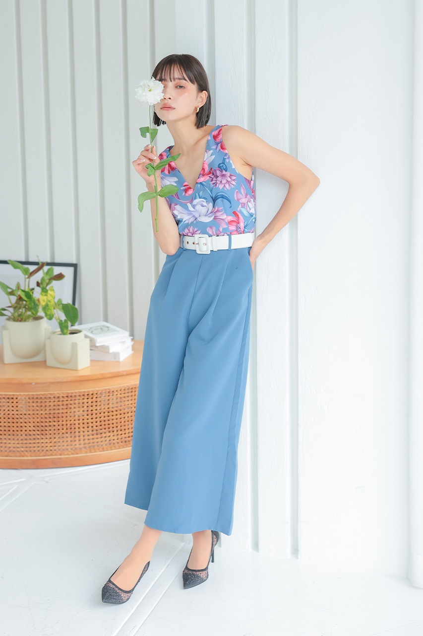 �ե��ץ��ȥ���ӥ����륤����PD1646062BL