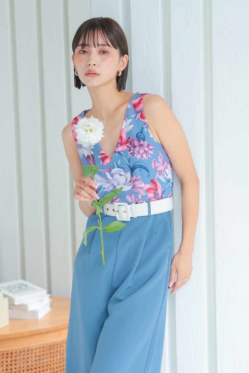 �ե��ץ��ȥ���ӥ����륤����PD1646062BL