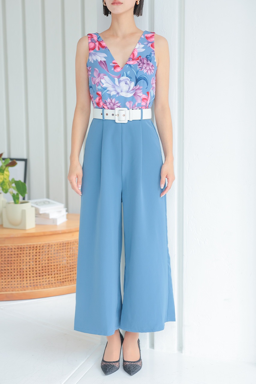 �ե��ץ��ȥ���ӥ����륤����PD1646062BL