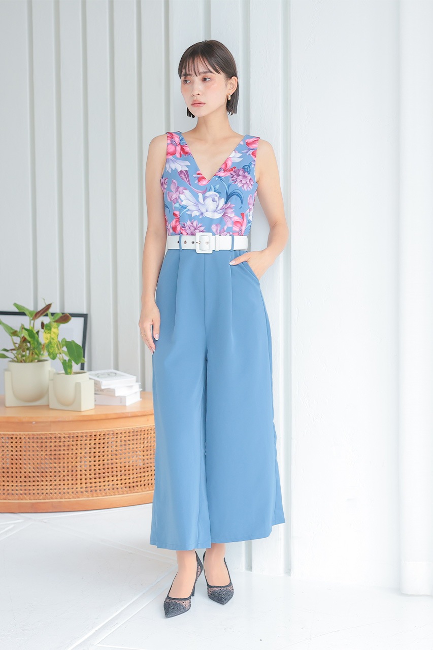 �ե��ץ��ȥ���ӥ����륤����PD1646062BL