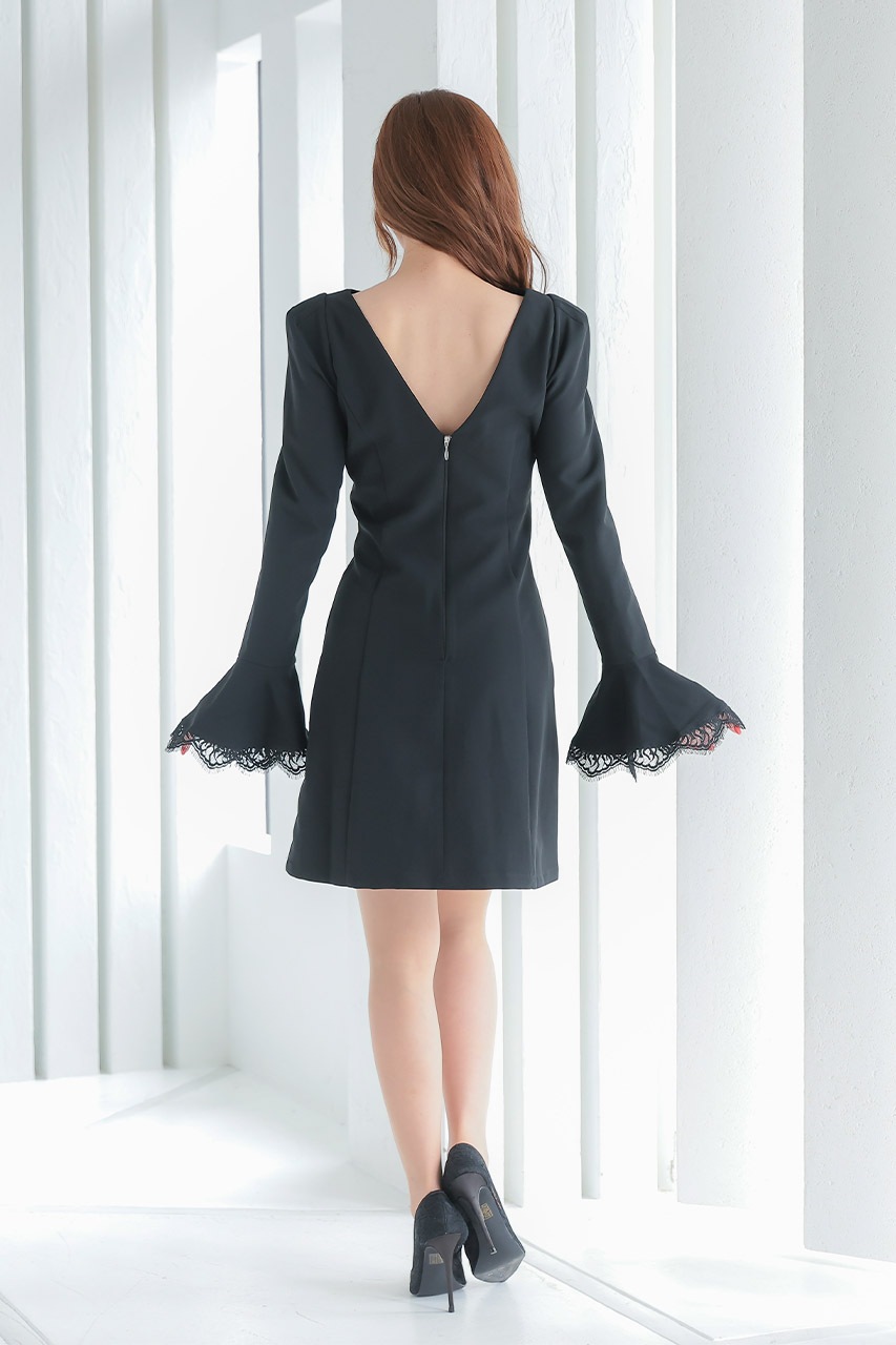 �ե쥢���꡼�֥ߥ˥ɥ쥹��LM17299BK