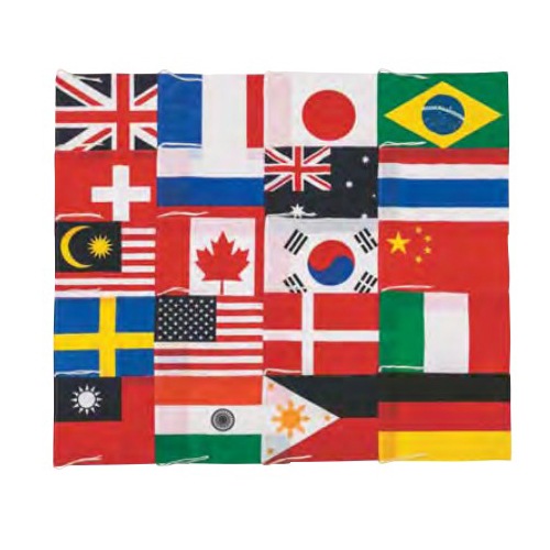 万国旗 20ヵ国入り テトロン製 34×50cm 国旗 装飾 飾り 運動会 体育祭