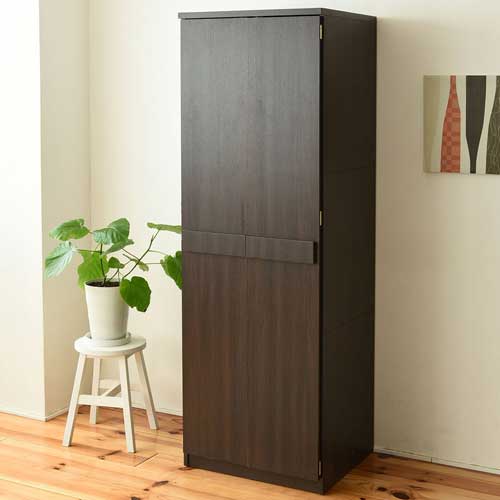 クローゼット ロッカータンス 整理タンス 整理棚 壁面収納 FRM-0118