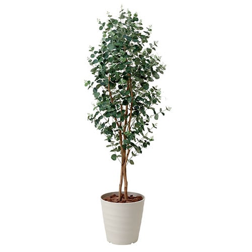 ユーカリ 観葉植物 造花 鉢植え プラント 417A340-19