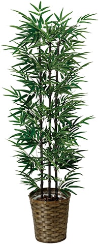 観葉植物 黒竹　高さ約130センチ　フデゴケ様 タカショー (室内用) 人工植物 グリーンデコ和風竹 黒竹5本立 鉢無 1.5