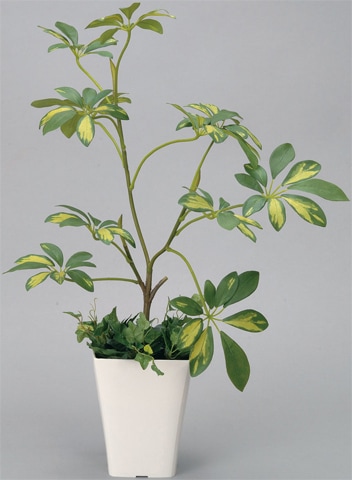 モンステラ 観葉植物 造花 鉢植え プラント EE4610-96（商品番号