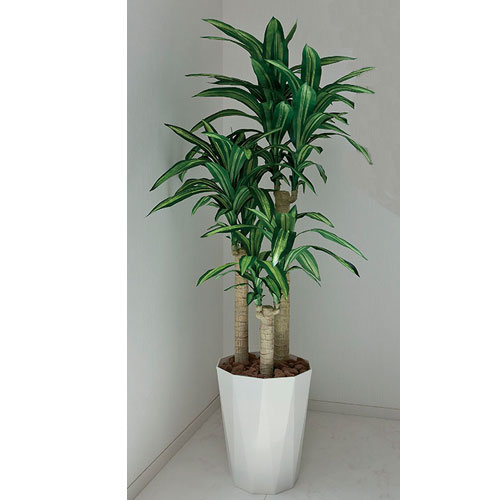幸福の木 観葉植物 造花 鉢植え プラント 400A360-17（商品番号