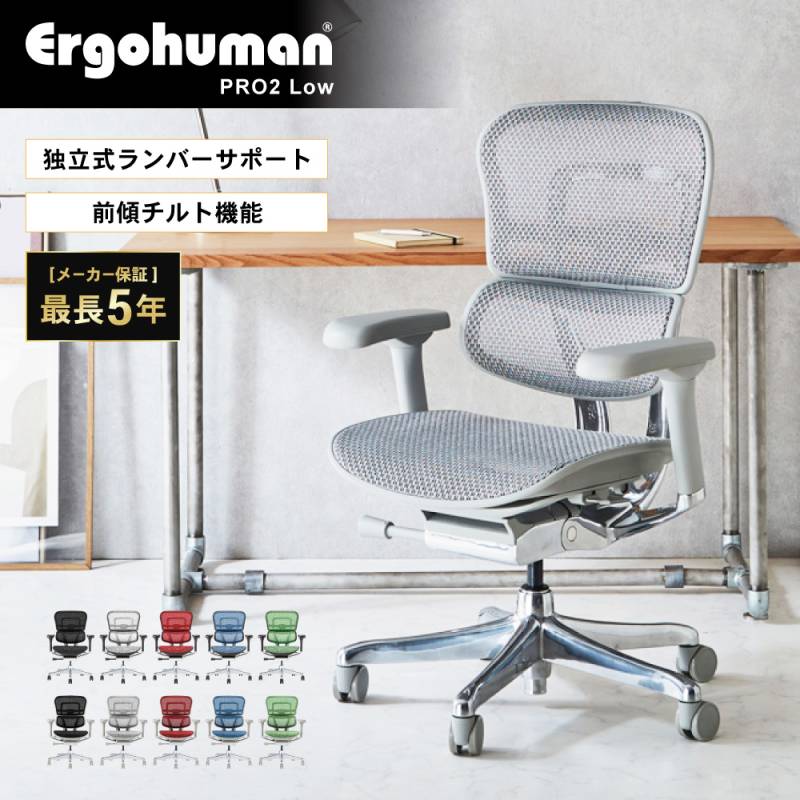 エルゴヒューマンプロ2 ロータイプ Ergohuman Pro2 Low 新基盤仕様