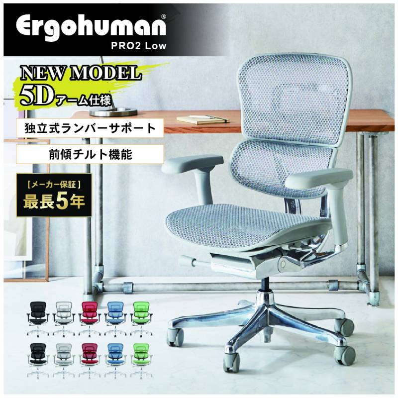 エルゴヒューマン プロ2 ロータイプ 5Dアームレスト Ergohuman EHP2