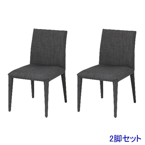 あずま工芸 アームチェア 幅54.5cm 【2脚入り】 TDC-9536[21] あずま