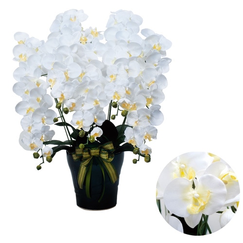 ロイヤル胡蝶蘭 5本立W 76cm 人工 観葉植物 人工観葉植物 造花 光触媒 インテリア ギフト プレゼント 消臭 抗菌 花粉 環境 快適 532A360-56 通販