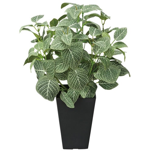 フィットニアS 2A5101-60 造花 観葉植物 ギフト用 通販