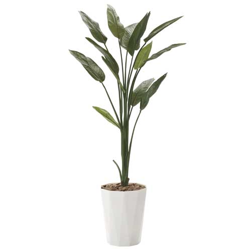 ゴールデンリーフ 観葉植物 造花 鉢植え プラント 423A220-28（商品