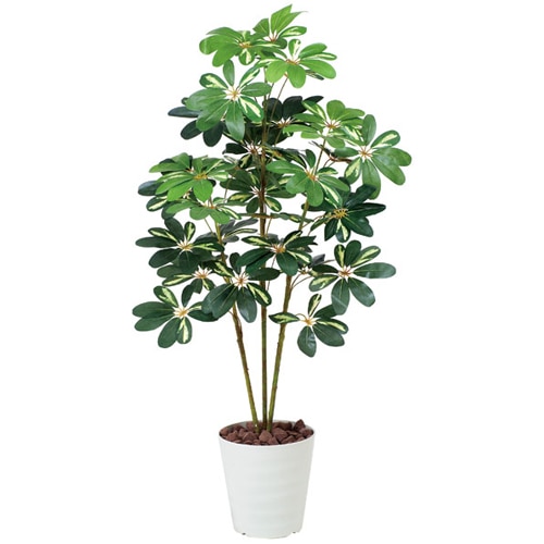 ぽんこ カポック 斑入 H120cm 鉢植え 造花 3A4608-180 通販（商品番号