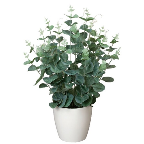 ユーカリ 観葉植物 造花 鉢植え プラント 3A5206-60