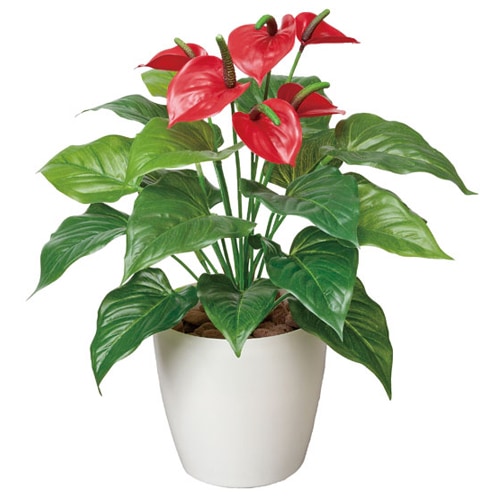 フレッシュアンスリューム 観葉植物 造花 鉢植え プラント 3A5312-72