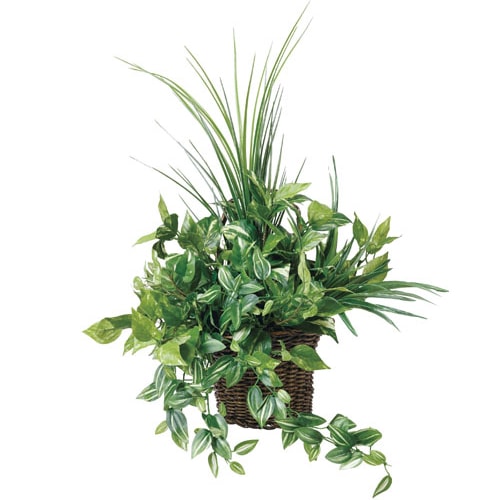 壁掛ナチュラルグラス 観葉植物 造花 鉢植え プラント 3A5609-84