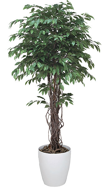 ベンジャミン 観葉植物 造花 鉢植え プラント C3807-450（商品番号