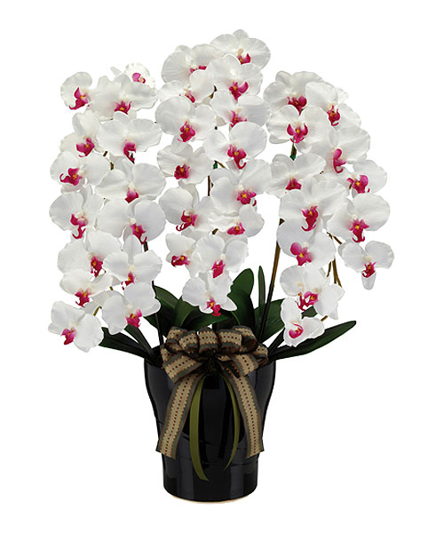 ロイヤルコチョウラン 観葉植物 造花 胡蝶蘭 プラント C0903-200